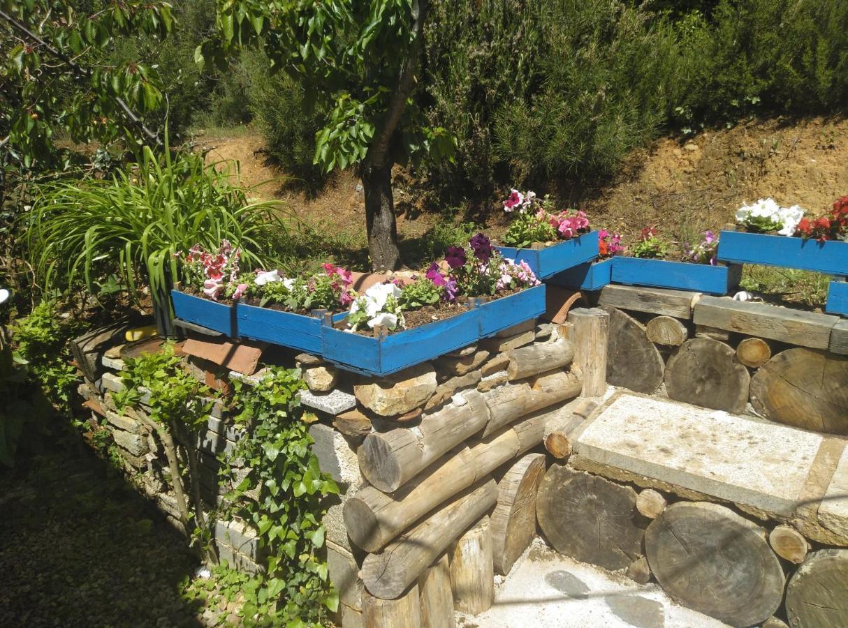 Casa Rural El Arroyo Sotoserrano 외부 사진